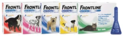 Frontline Spot On Para Perros (20 - 40 Kg) 7 Frontline Spot On Para Perros (20 - 40 Kg) -Bravery Tienda packshot 62729a9d71a1b