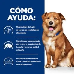 Hill’s Prescription Diet Derm Complete Comida Húmeda Para Perros -Bravery Tienda pd derm complete dog bk30270m bk31389 how helps es 0