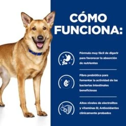 Hill's I/d Prescription Diet Digestive Care Estofado Para Perros -Bravery Tienda pd id dog bk33557 how works es 1