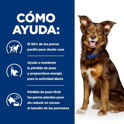 Hill's Metabolic con cordero Prescription Diet pienso para perros Hill's Metabolic Con Cordero Prescription Diet Pienso Para Perros -Bravery Tienda pd merabolic dog bk32929 bk27893m bk32064m bk21343 bk21344 how helps es 4