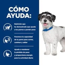 Hill's Metabolic + Mobility Mini Prescription Diet Pienso Para Perros -Bravery Tienda pd metabolic mobility mini dog bk31838m how helps es 9