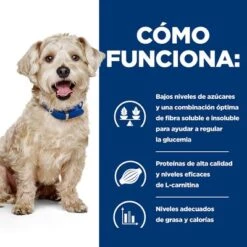 Hill's W/d Prescription Diet Diabetes Comida Húmeda Para Perros -Bravery Tienda pd wd dog bk32587m bk27668 how works es 3
