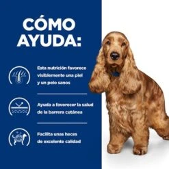 Hill's Z/d Food Sensitivities Prescription Diet Comida Húmeda 7 Hill's Z/d Food Sensitivities Prescription Diet Comida Húmeda -Bravery Tienda pd zd dog bk30873m bk30972 how helps es 4