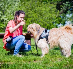 Julius K9 Pelota IDC Con Asa -Bravery Tienda pelota idc con asa 5