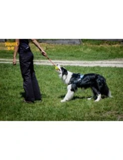 Julius K9 Pelota IDC Fluorescente Amarilla -Bravery Tienda pelota idc lumino asa cerrable 3 63a02a1b8bb2e