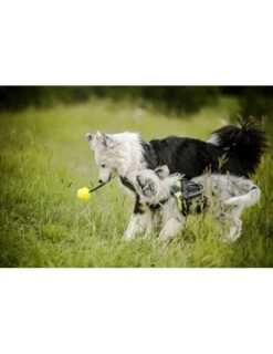 Julius K9 Pelota IDC Fluorescente Amarilla -Bravery Tienda pelota idc lumino asa cerrable 4 63a02a1cc067e