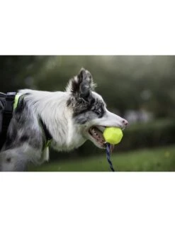 Julius K9 Pelota IDC Fluorescente Amarilla -Bravery Tienda pelota idc lumino asa cerrable 5 63a02a1dc2e62