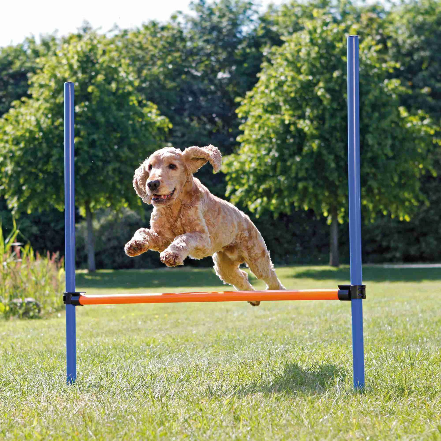 Valla de agility para perros Trixie Valla De Agility Para Perros -Bravery Tienda perro saltar agility 64b93aad9f32c