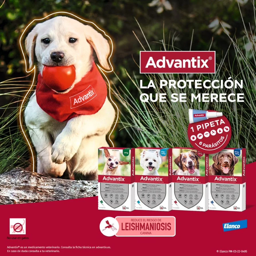 Pipetas Spot On para Perro hasta 4 kg Advantix Pipetas Spot On Para Perro Hasta 4 Kg -Bravery Tienda pipetas advantix 63ea6a88f2ffa