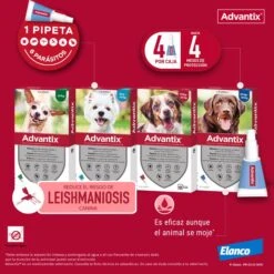Advantix Pipetas Spot On Para Perro Hasta 4 Kg 6 Advantix Pipetas Spot On Para Perro Hasta 4 Kg -Bravery Tienda pipetas advantix para perros 63ea6b48123c6