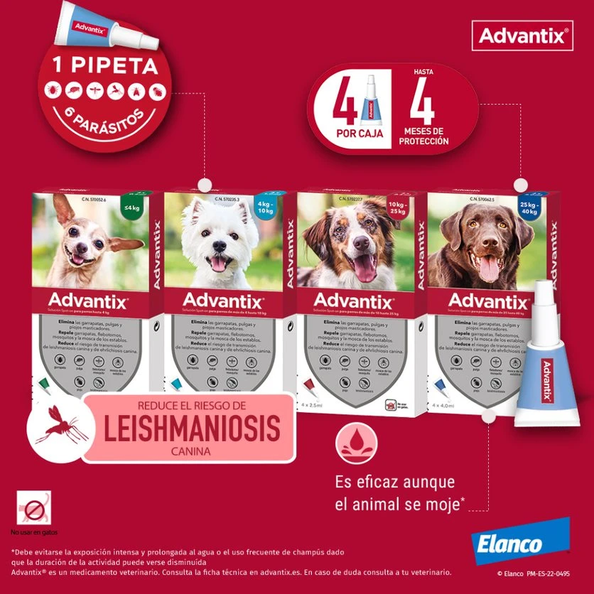 Pipetas Spot On para Perro hasta 4 kg Advantix Pipetas Spot On Para Perro Hasta 4 Kg -Bravery Tienda pipetas advantix para perros 63ea6b48123c6