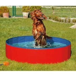 Flamingo Piscina Doggy Pool Para Perros Roja -Bravery Tienda piscina doggy pool roja azul