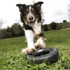 KONG Mordedor Rueda Extreme -Bravery Tienda pneu 3 800x800 6255bd98e847d