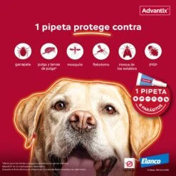 Advantix Pipetas Spot On Para Perro Hasta 4 Kg 7 Advantix Pipetas Spot On Para Perro Hasta 4 Kg -Bravery Tienda proteccion pipeta advantix 63ea6b5b49b29