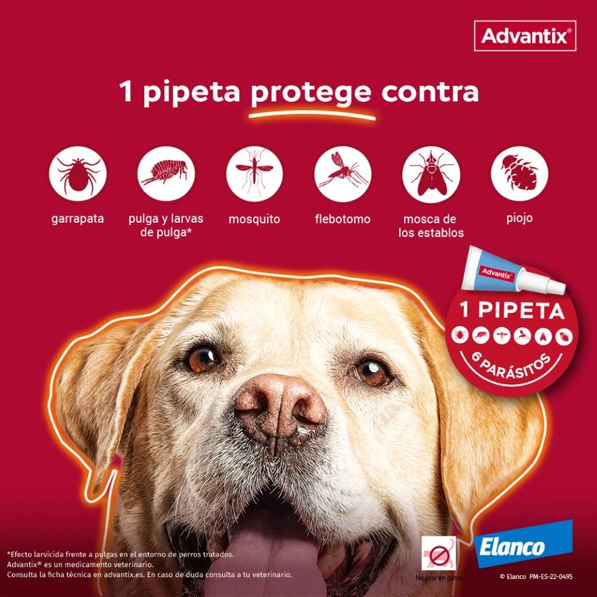 Pipetas Spot On para Perro hasta 4 kg Advantix Pipetas Spot On Para Perro Hasta 4 Kg -Bravery Tienda proteccion pipeta advantix 63ea6b5b49b29