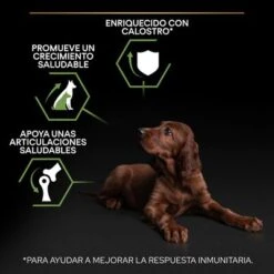 PURINA PRO PLAN Large Athletic Puppy Healthy Start 7 PURINA PRO PLAN Large Athletic Puppy Healthy Start -Bravery Tienda pu benefit tile m2 healthy start 1 2500x2500px 221229 1 1673334810874 8