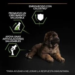 PURINA PRO PLAN Large Robust Puppy Healthy Start -Bravery Tienda pu benefit tile m2 healthy start 2 2500x2500px 221229 1 1673334810874 1
