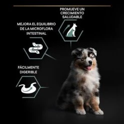 PURINA PRO PLAN All Sizes Puppy Sensitive Digestion Sin Cereales Con Pavo 6 PURINA PRO PLAN All Sizes Puppy Sensitive Digestion Sin Cereales Con Pavo -Bravery Tienda pu proplan dog sdgrainfree allsize benefit 8
