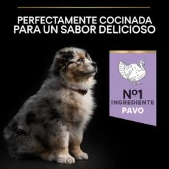 PURINA PRO PLAN All Sizes Puppy Sensitive Digestion Sin Cereales Con Pavo 7 PURINA PRO PLAN All Sizes Puppy Sensitive Digestion Sin Cereales Con Pavo -Bravery Tienda pu proplan dog sdgrainfree allsize flavour 0