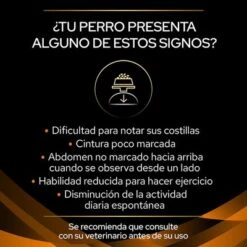 Purina OM Obesity Management Veterinary Diets Pienso Perros -Bravery Tienda puppvdddppvom22dles 220629 1 1657171060665 3