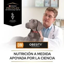 Purina OM Obesity Management Veterinary Diets Pienso Perros -Bravery Tienda puppvdddppvom22endoles 220629 1 1656654162025 1