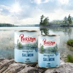 Purizon Adult 6 X 400 G Comida Húmeda Sin Cereales Para Perros -Bravery Tienda purizon idcard wet salmon 1000x1000 8