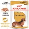 Royal Canin Breed Teckel Mousse -Bravery Tienda rc bhn wet dachshund mv eretailkit es es 1 2