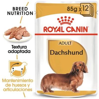 Royal Canin Breed Teckel Mousse Royal Canin Breed Teckel Mousse -Bravery Tienda rc bhn wet dachshund mv eretailkit es es 1 2