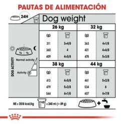 Royal Canin Maxi Joint Care 6 Royal Canin Maxi Joint Care -Bravery Tienda rc ccn jointcaremaxi cv eretailkit 6 es es 8