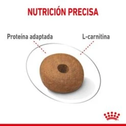 Royal Canin Medium Light Weight Care 6 Royal Canin Medium Light Weight Care -Bravery Tienda rc spt dry lightweightmed cv 3 es es 1 7