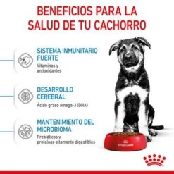Royal Canin Maxi Puppy 6 Royal Canin Maxi Puppy -Bravery Tienda rc spt dry maxipuppy cv 3 es es 6