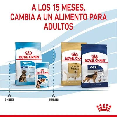 Royal Canin Maxi Puppy Royal Canin Maxi Puppy -Bravery Tienda