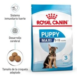 Royal Canin Maxi Puppy 5 Royal Canin Maxi Puppy -Bravery Tienda rc spt dry maxipuppy mv 1 es es 1
