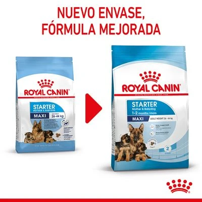 Royal Canin Maxi Starter Royal Canin Maxi Starter -Bravery Tienda