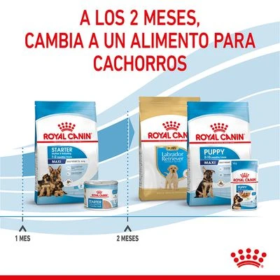 Royal Canin Maxi Starter Royal Canin Maxi Starter -Bravery Tienda