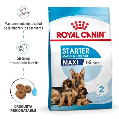 Royal Canin Maxi Starter Royal Canin Maxi Starter -Bravery Tienda