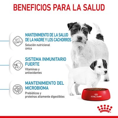 Royal Canin Mini Starter Royal Canin Mini Starter -Bravery Tienda rc spt dry ministart cv 3 es es 6