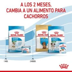 Royal Canin Mini Starter 12 Royal Canin Mini Starter -Bravery Tienda rc spt dry ministart cv 5 es es 1