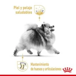 Royal Canin Breed Pomerania Adult -Bravery Tienda rc spt dry pomad cv 1 es es 1