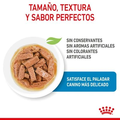 Royal Canin Maxi Puppy en salsa para perros Royal Canin Maxi Puppy En Salsa Para Perros -Bravery Tienda