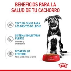 Royal Canin Maxi Puppy En Salsa Para Perros 7 Royal Canin Maxi Puppy En Salsa Para Perros -Bravery Tienda rc spt wet maxipuppy cv 3 es es 8