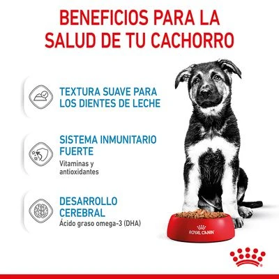 Royal Canin Maxi Puppy en salsa para perros Royal Canin Maxi Puppy En Salsa Para Perros -Bravery Tienda
