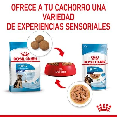 Royal Canin Maxi Puppy en salsa para perros Royal Canin Maxi Puppy En Salsa Para Perros -Bravery Tienda