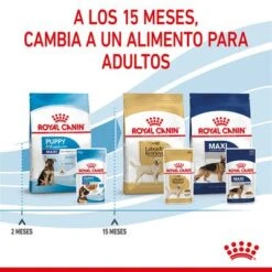 Royal Canin Maxi Puppy En Salsa Para Perros 11 Royal Canin Maxi Puppy En Salsa Para Perros -Bravery Tienda rc spt wet maxipuppy cv 8 es es 9
