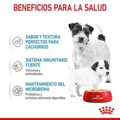 Royal Canin Starter Mousse -Bravery Tienda rc spt wet startermousse can cv 3 es es 8