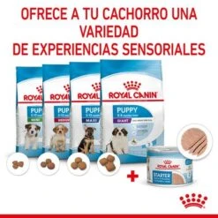Royal Canin Starter Mousse -Bravery Tienda rc spt wet startermousse can cv 4 es es 3