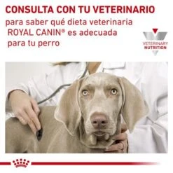 Royal Canin Veterinary Canine Anallergenic Pienso Para Perros -Bravery Tienda rc vet dry dogana cv eretailkit 6 es es 5
