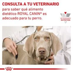 Royal Canin Veterinary Canine Hypoallergenic Puppy Pienso Para Perros 8 Royal Canin Veterinary Canine Hypoallergenic Puppy Pienso Para Perros -Bravery Tienda rc vet dry doghypopu cv eretailkit 6 es es 2