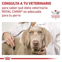 Royal Canin Veterinary Canine Renal Special Mousse -Bravery Tienda rc vet wet dogrenalspeloaf410 cv eretailkit 7 es es 2