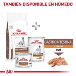 Royal Canin Veterinary Canine Gastrointestinal Low Fat Pienso Para Perros 10 Royal Canin Veterinary Canine Gastrointestinal Low Fat Pienso Para Perros -Bravery Tienda rc vhn gastrointestinallowfatdog cv eretailkit 8 es es pdf 7